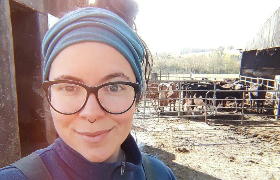 JerpointDairyIreland3